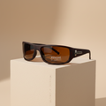 Lunette de soleil Vitrex Marron